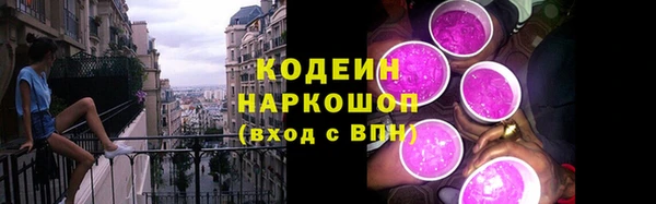 мяу мяу мука Инсар