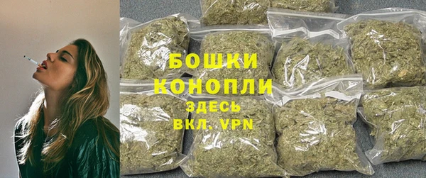 мяу мяу мука Инсар