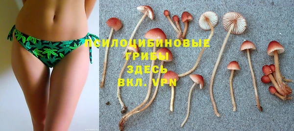 мяу мяу мука Инсар