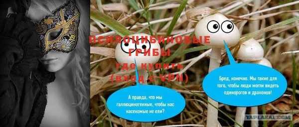 крисы Иннополис