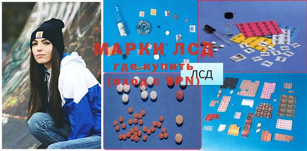 мяу мяу мука Инсар