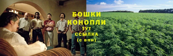 мяу мяу мука Инсар