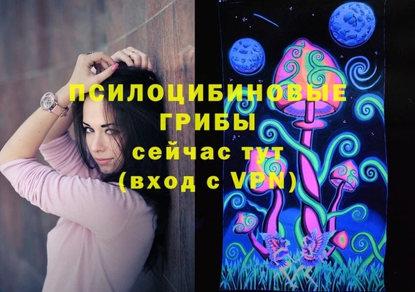 мяу мяу мука Инсар